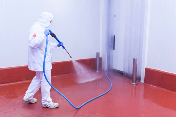 Best Dumpster Area Cleaning  in Bay City, TX